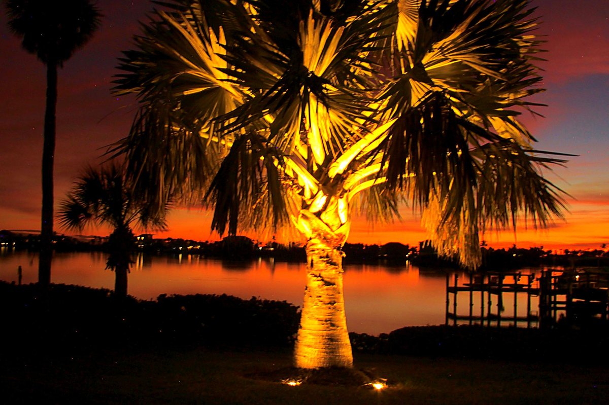 Outdoor landscape lighting on luxury Florida home - front view with illuminated palm trees