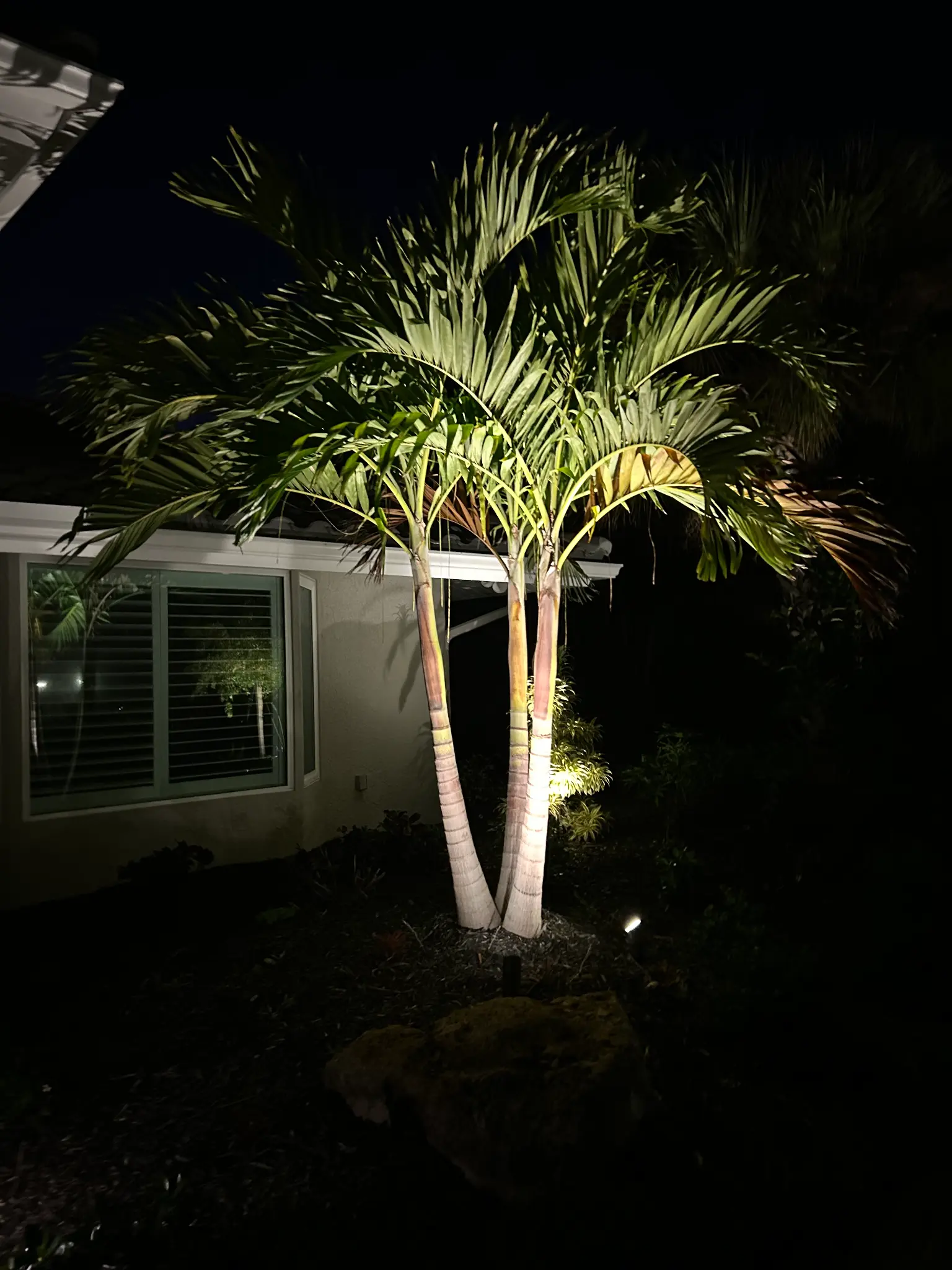 Premium LED landscape lighting on luxury estate grounds