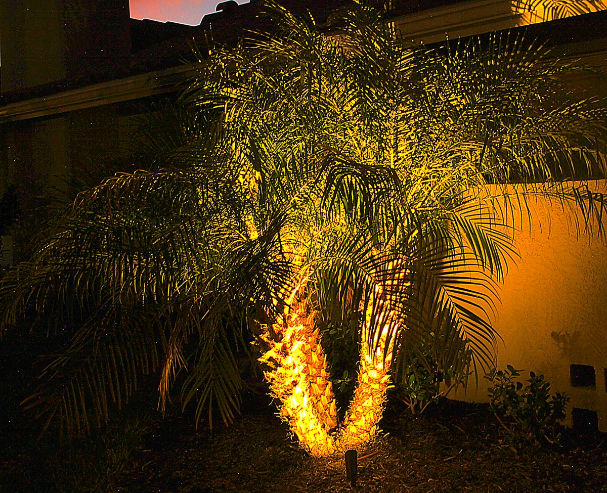 Expert lighting design on upscale property exterior
